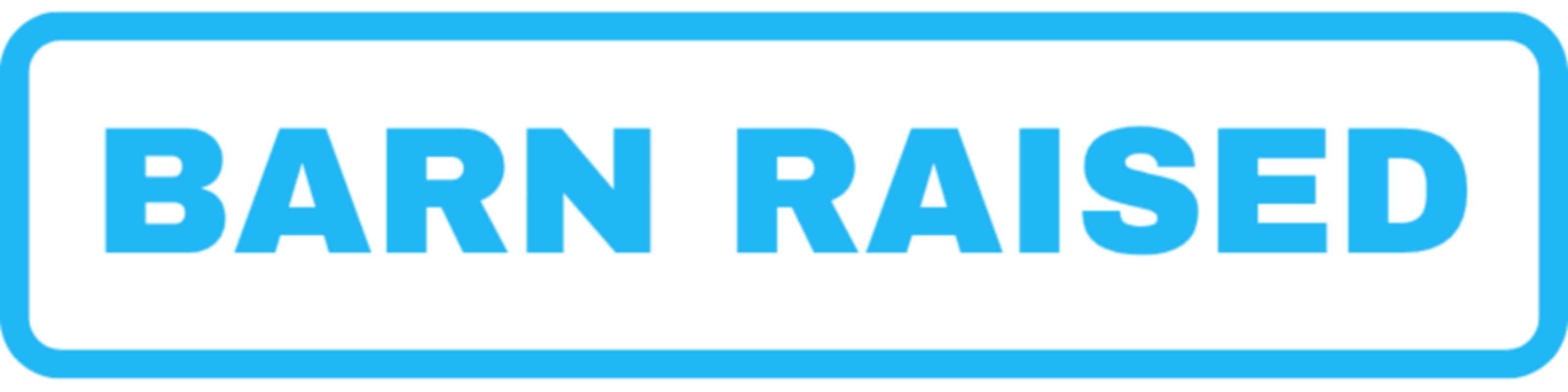 Barn Raised Logo