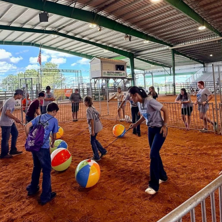 Volunteer: Showmanship Clinic