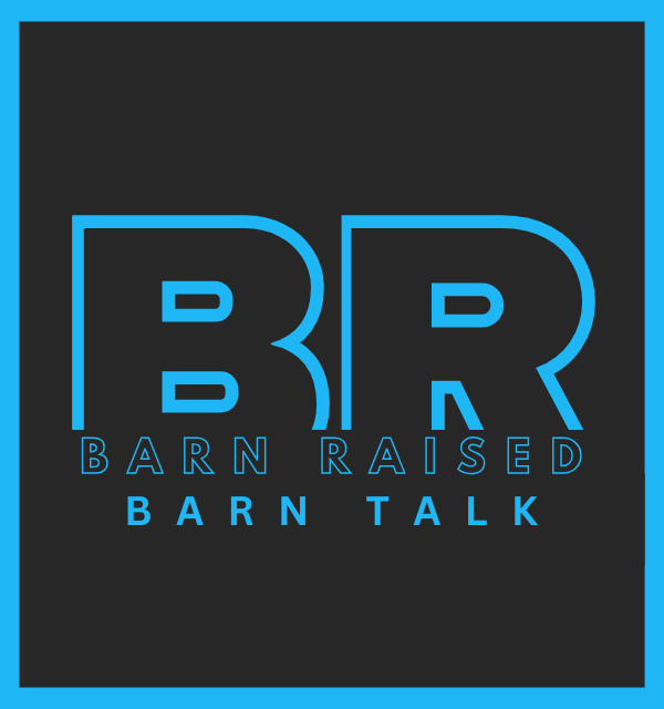 Barn Raised Logo