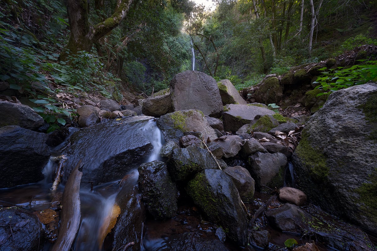 Rocky forest stream with mossy boulders and a small waterfall in Gran Canaria
