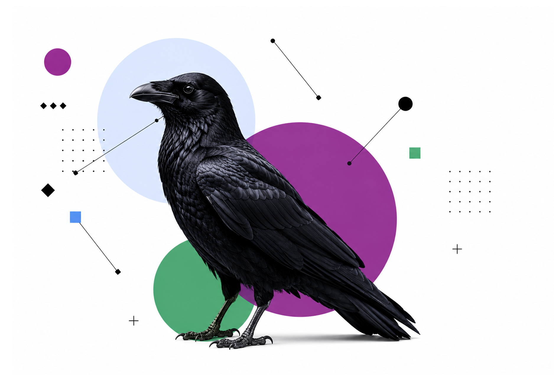 East Raven creative strategy services