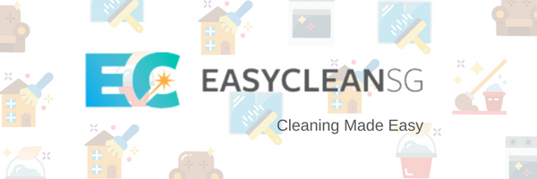 EasyClean SG