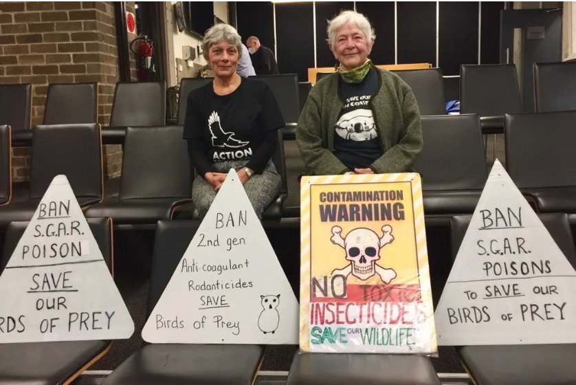 Medie Release: GREENS JOIN CALLS FOR NB COUNCIL TO BAN CHEMICALS HARMING BIRDS