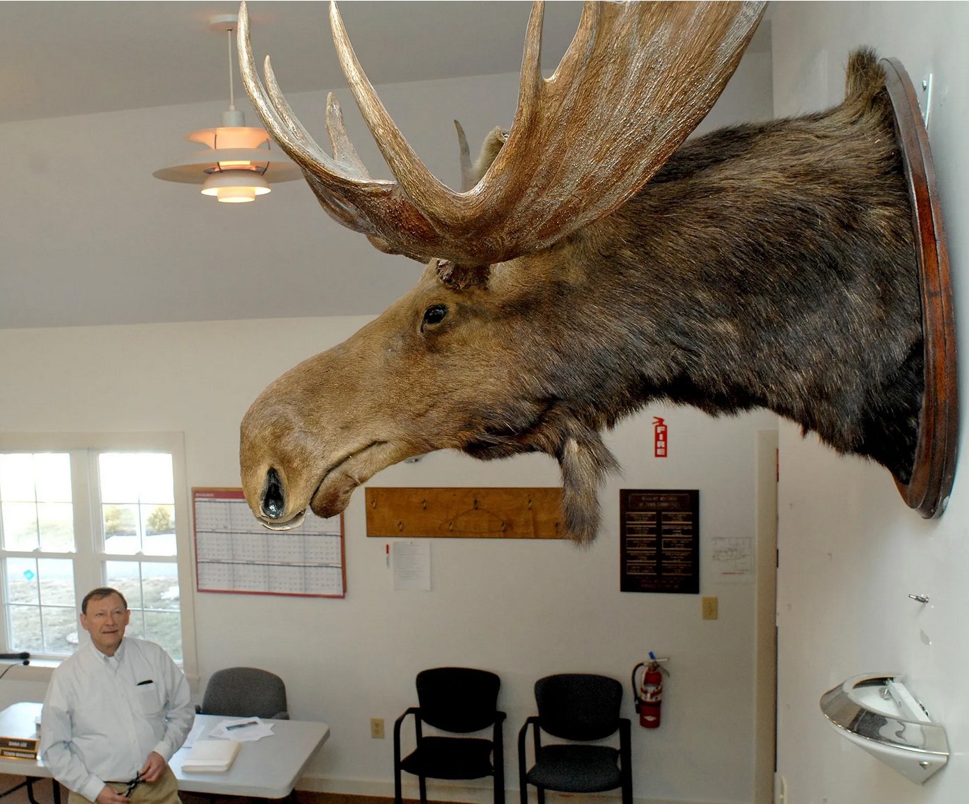 Lights, camera, description!