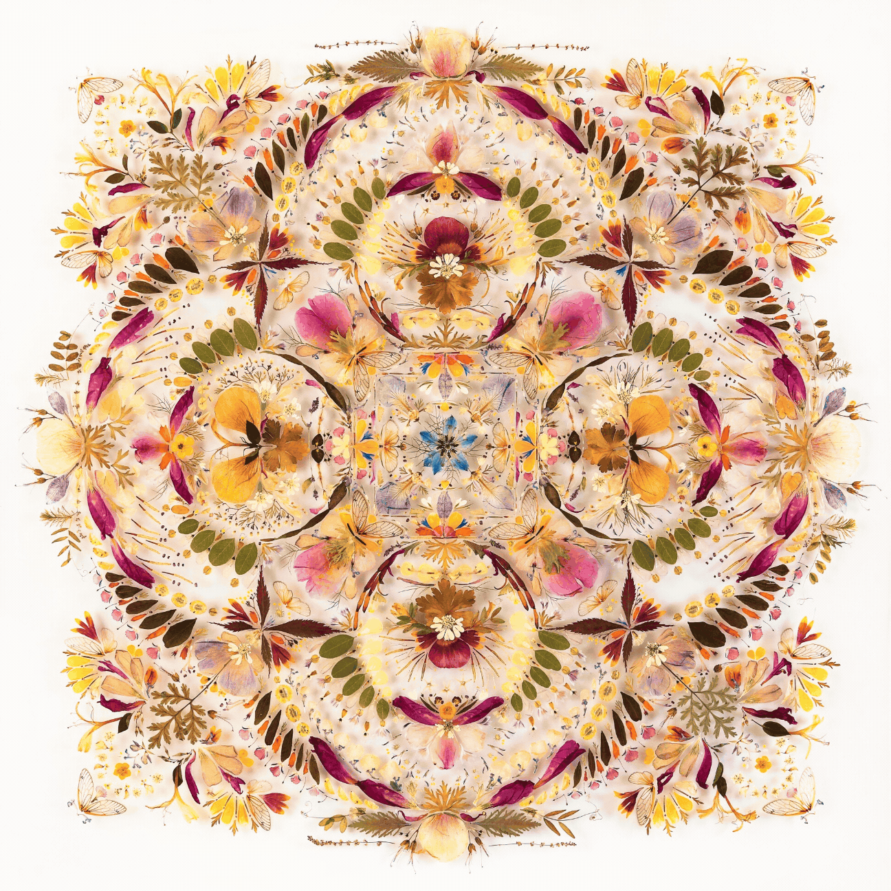 A mandala-like composition of flower petals and leaves