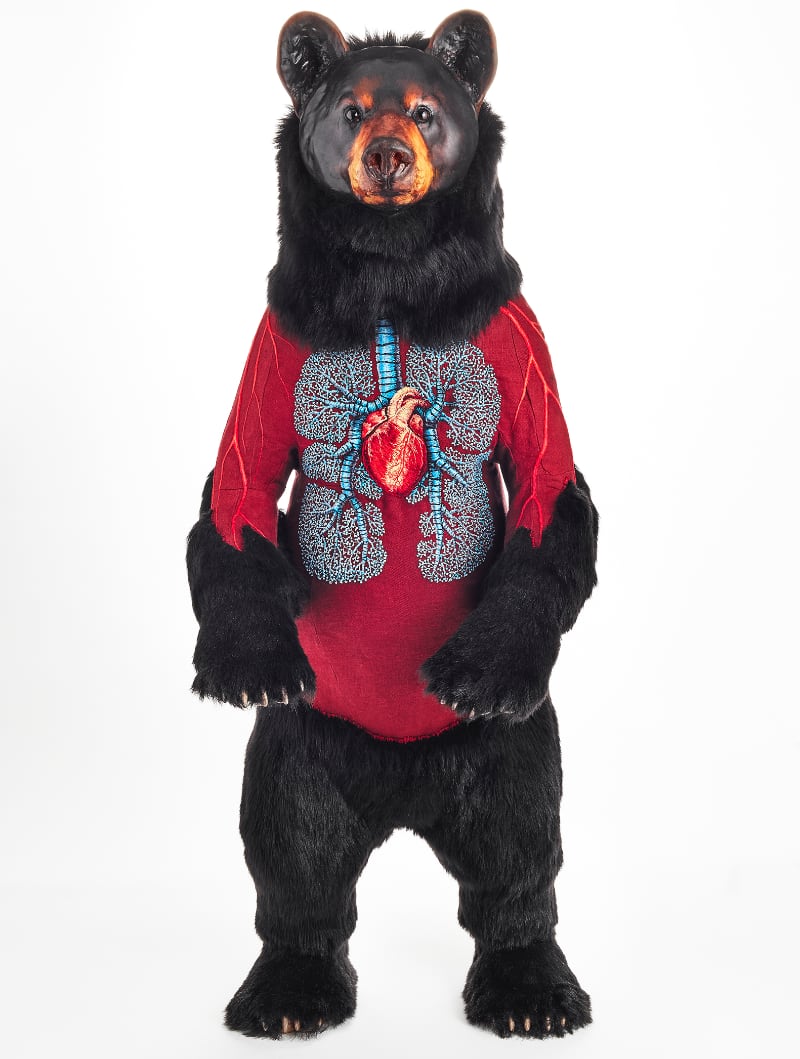A photo of a standing bear sculpture with embroidered organs