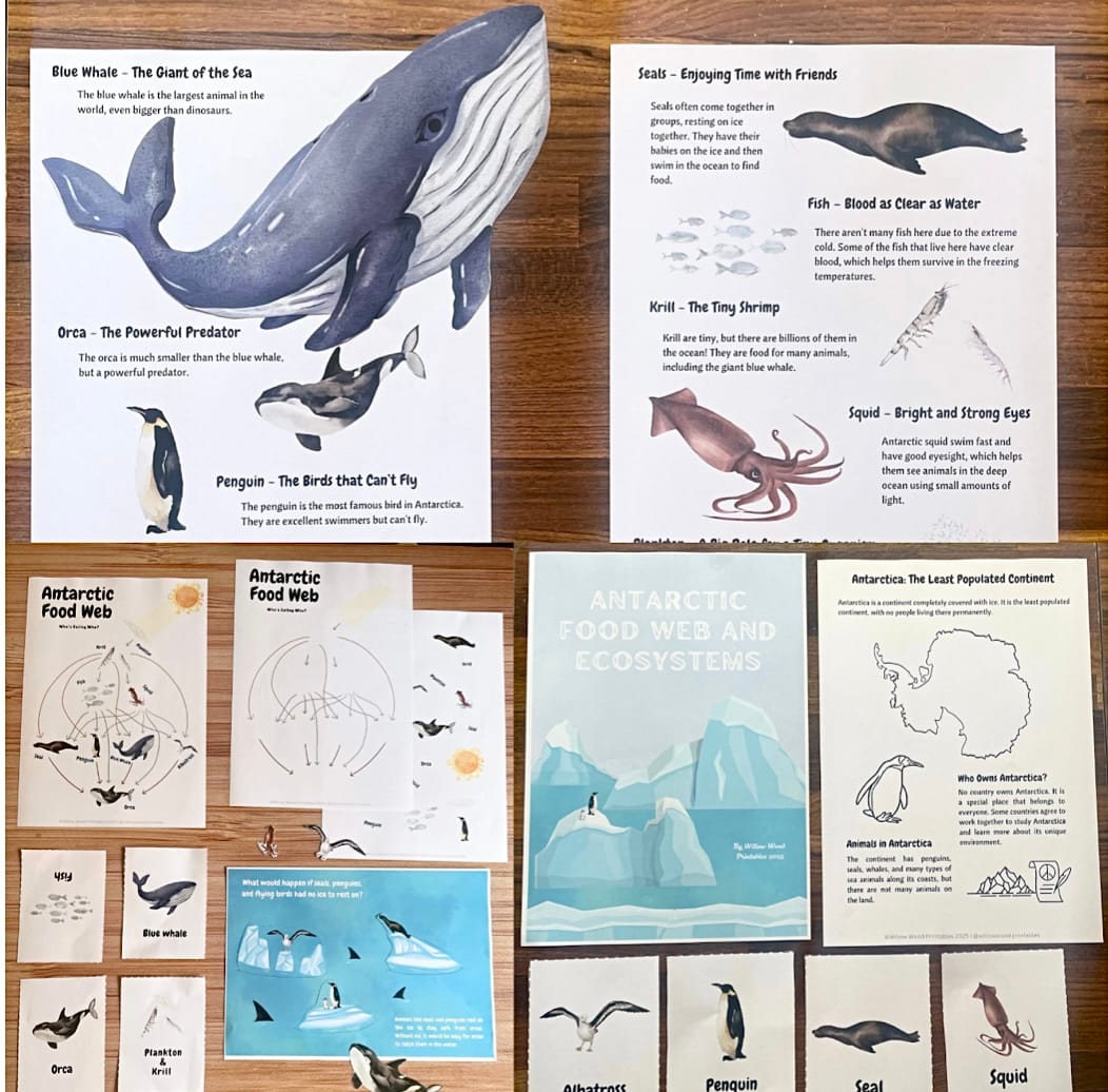 Antarctic Food Web and Ecosystems Activities (A2)