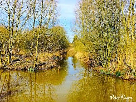 Gatley Carrs Image