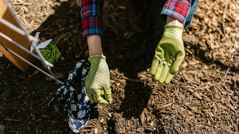 Community Sensory Garden