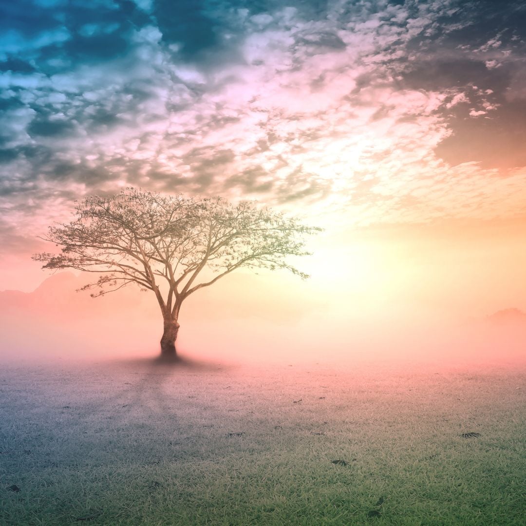 therapy-article