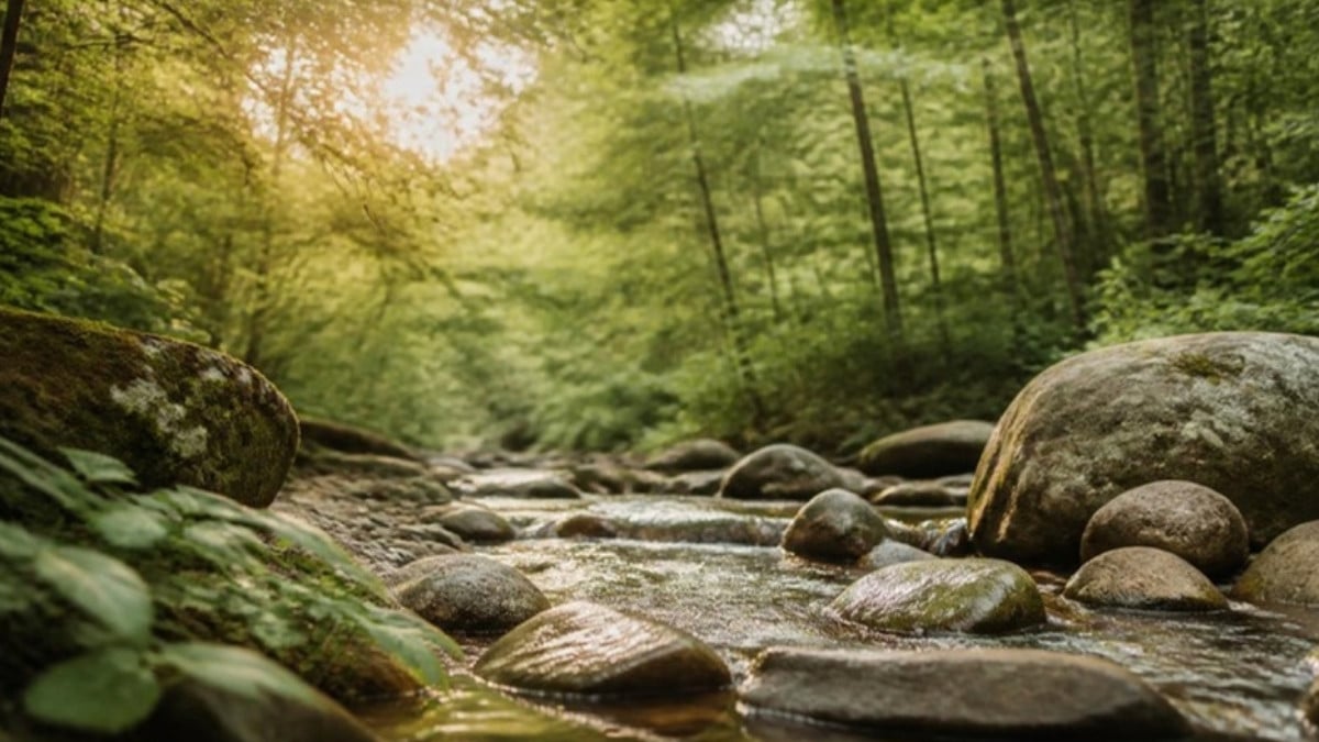 Spiritually Exhausted? What God Did First for Elijah