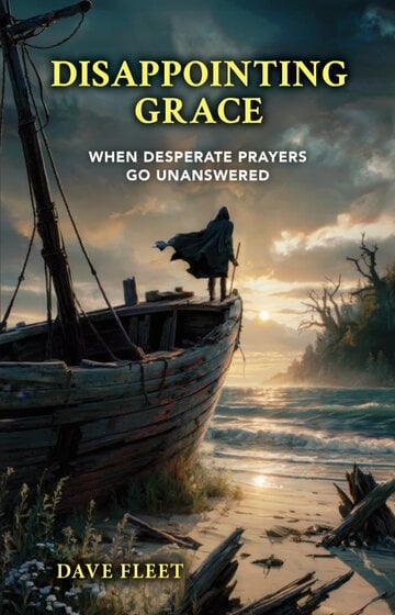 Disappointing Grace book cover — a figure standing on a weathered ship, looking toward the sunrise