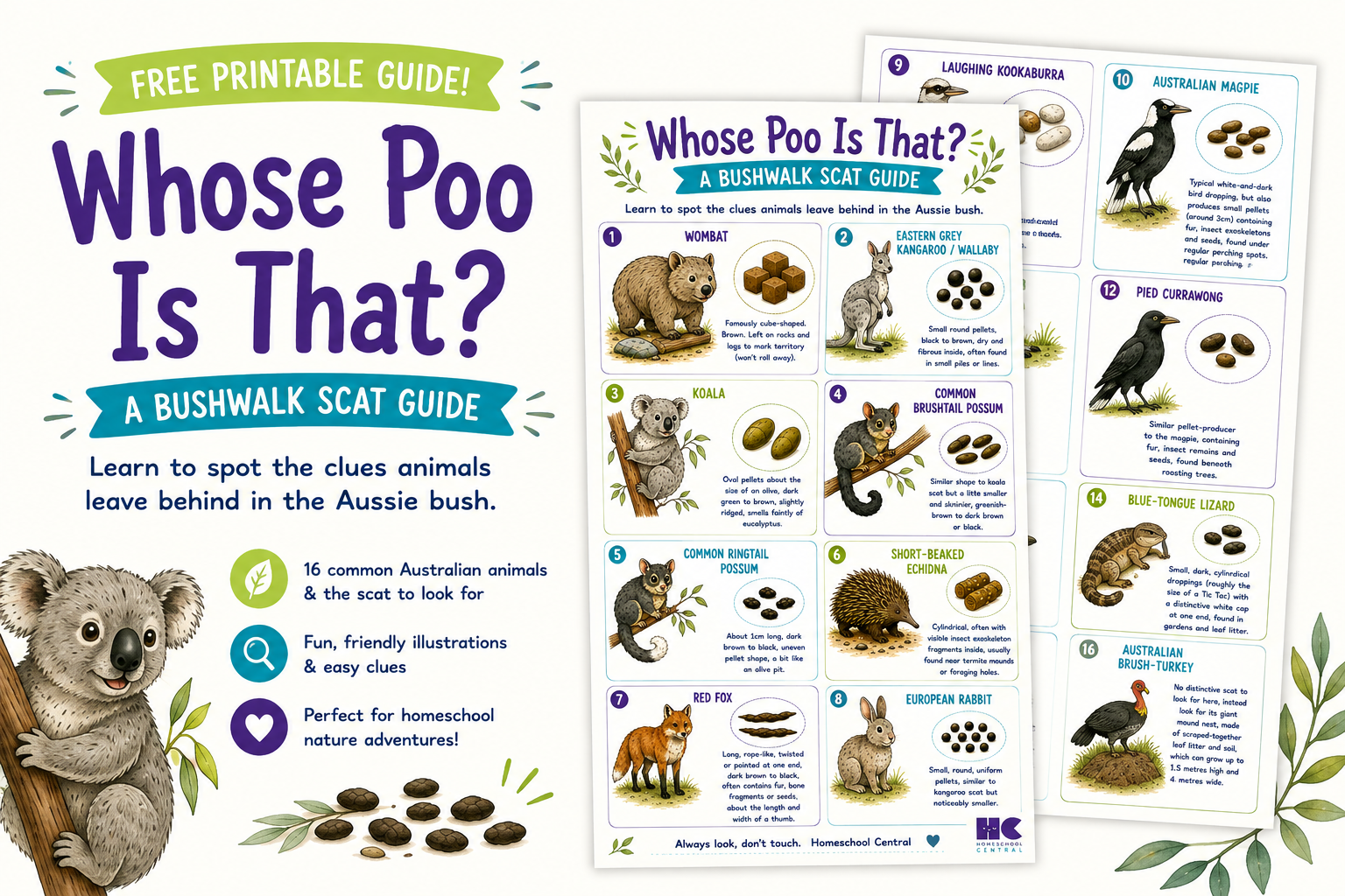 Whose Poo Is That? free printable scat identification guide for kids