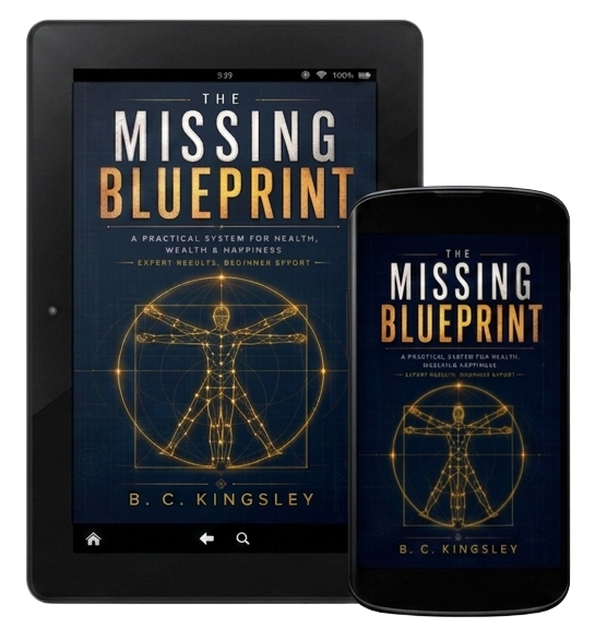 The Missing Blueprint - Ebook