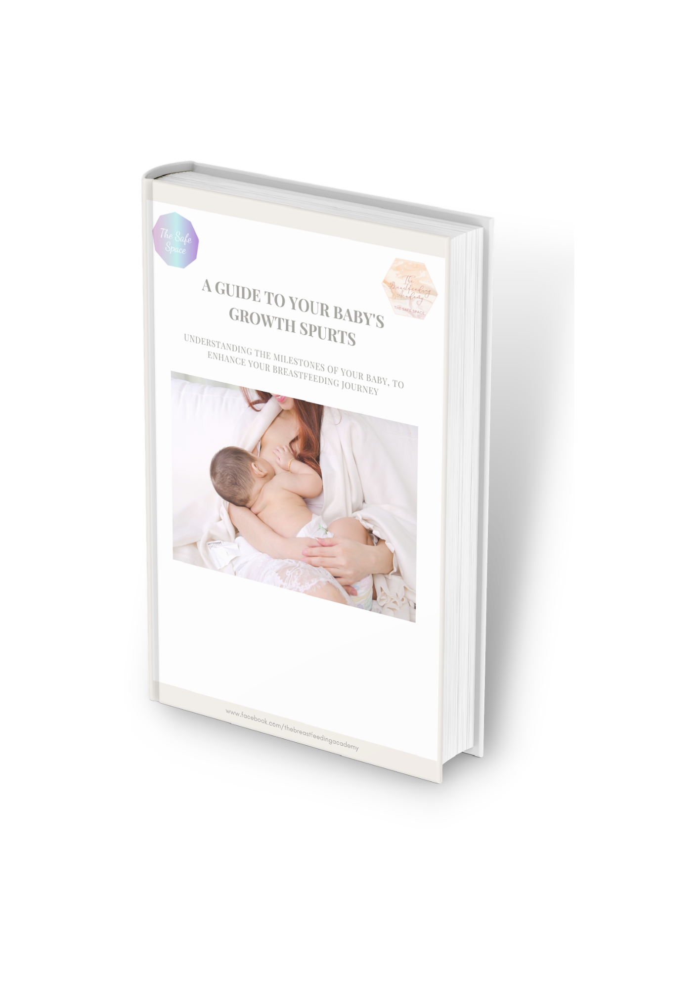 The Breastfeeding Academy eBook
