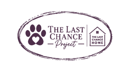 The Lat Chance Project