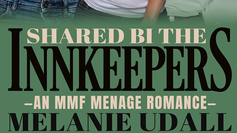 A Look At Melanie's Udall Latest Work In Progress-﻿Shared Bi The Innkeepers