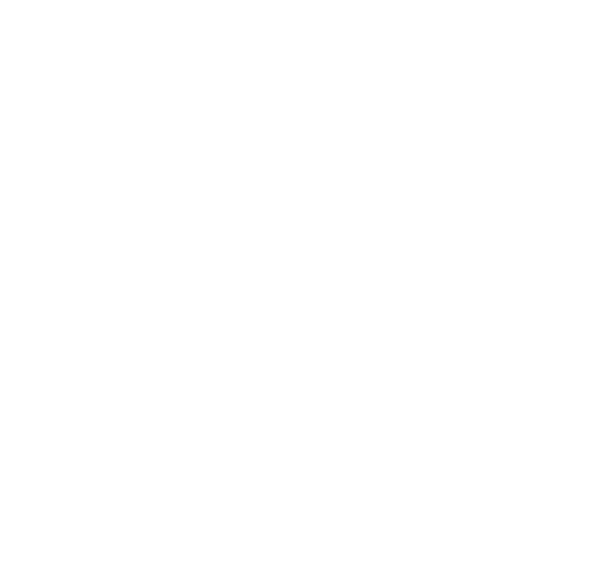 Wounded Bull Partners