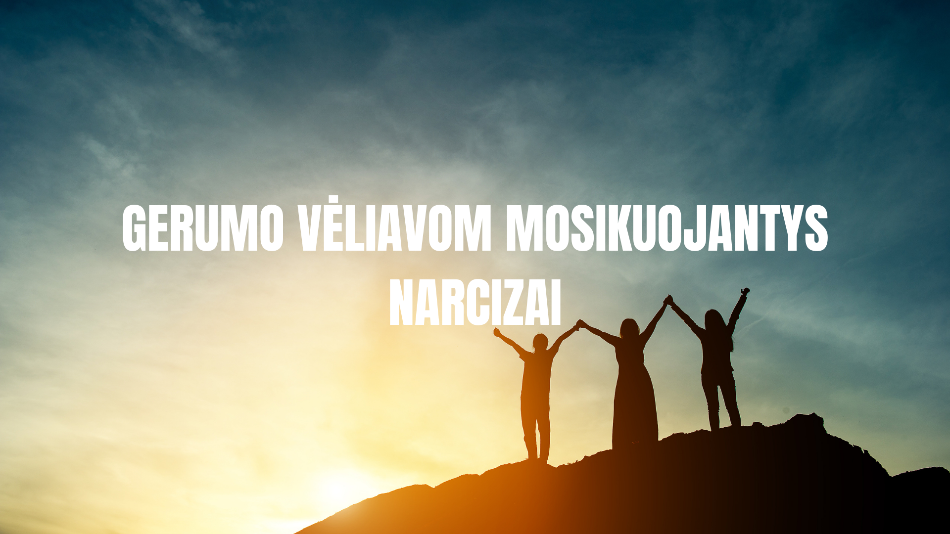 Gerumo vėliavom mosikuojantys narcizai