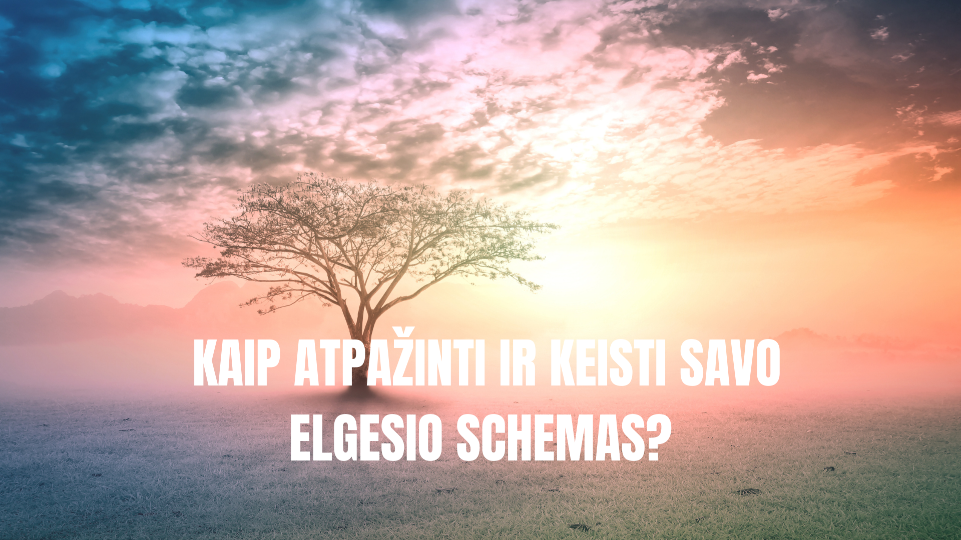 Kaip atpažinti ir keisti savo elgesio schemas?
