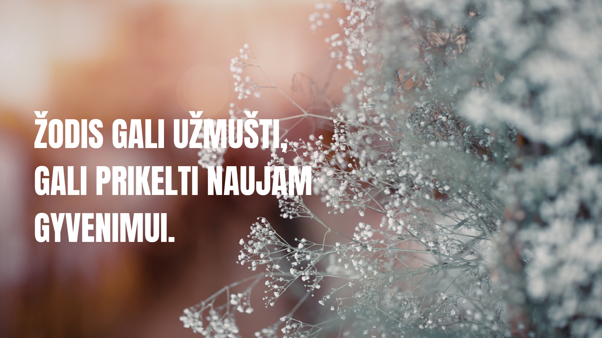 Žodis gali užmušti, gali prikelti naujam gyvenimui.