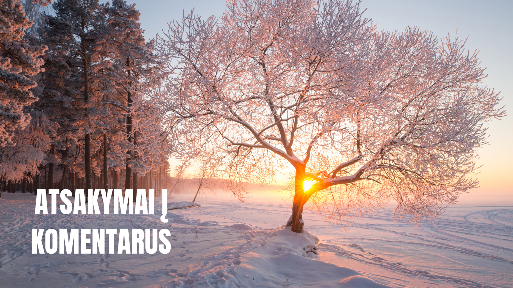 Atsakymai į komentarus