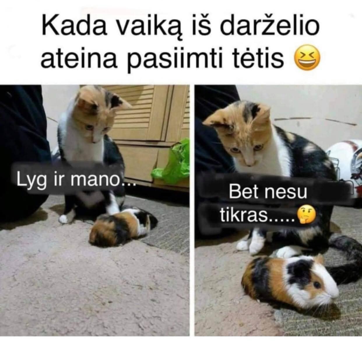 Jei nusijuokei, skaityk toliau