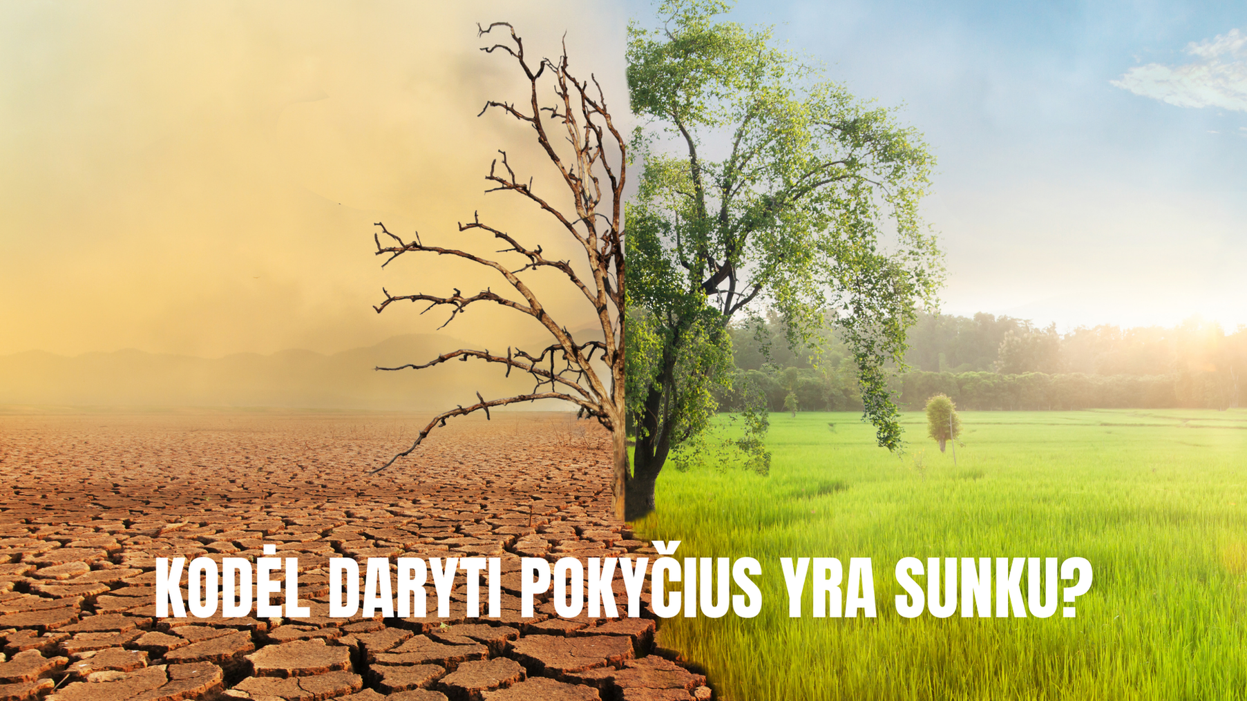 Kodėl daryti pokyčius yra sunku?