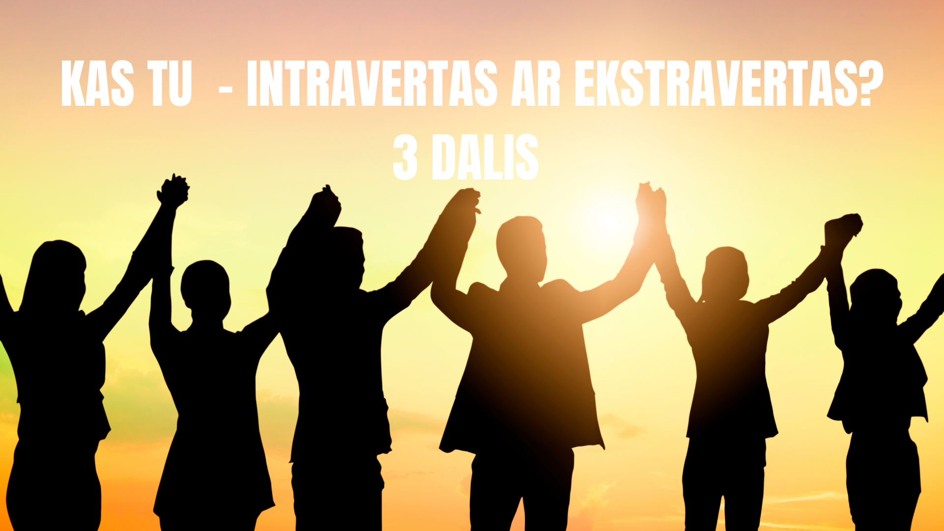 Kas tu  - intravertas ar ekstravertas? 3 dalis