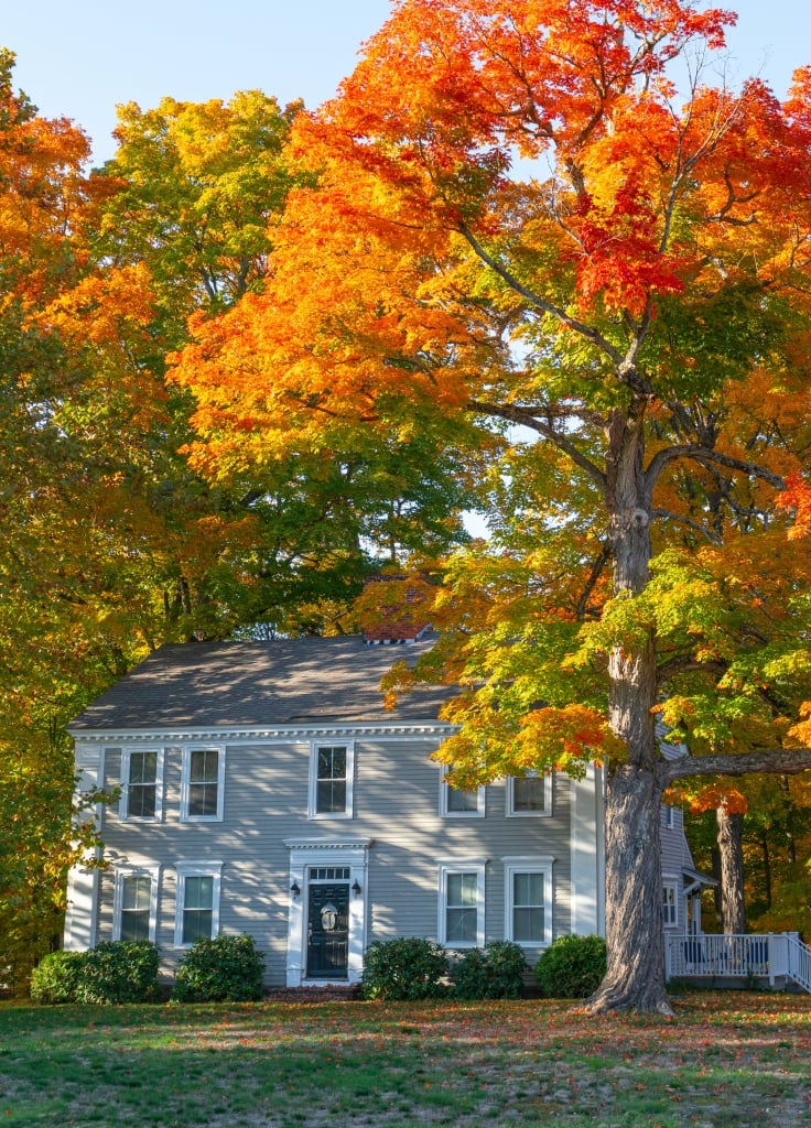 FALL REAL ESTATE MARKET UPDATE