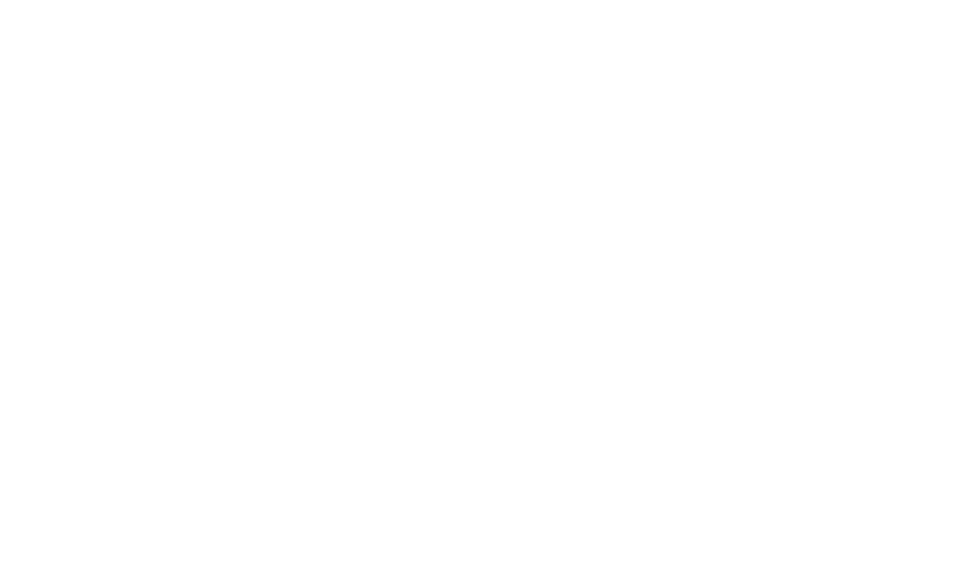 suzydomenick.com