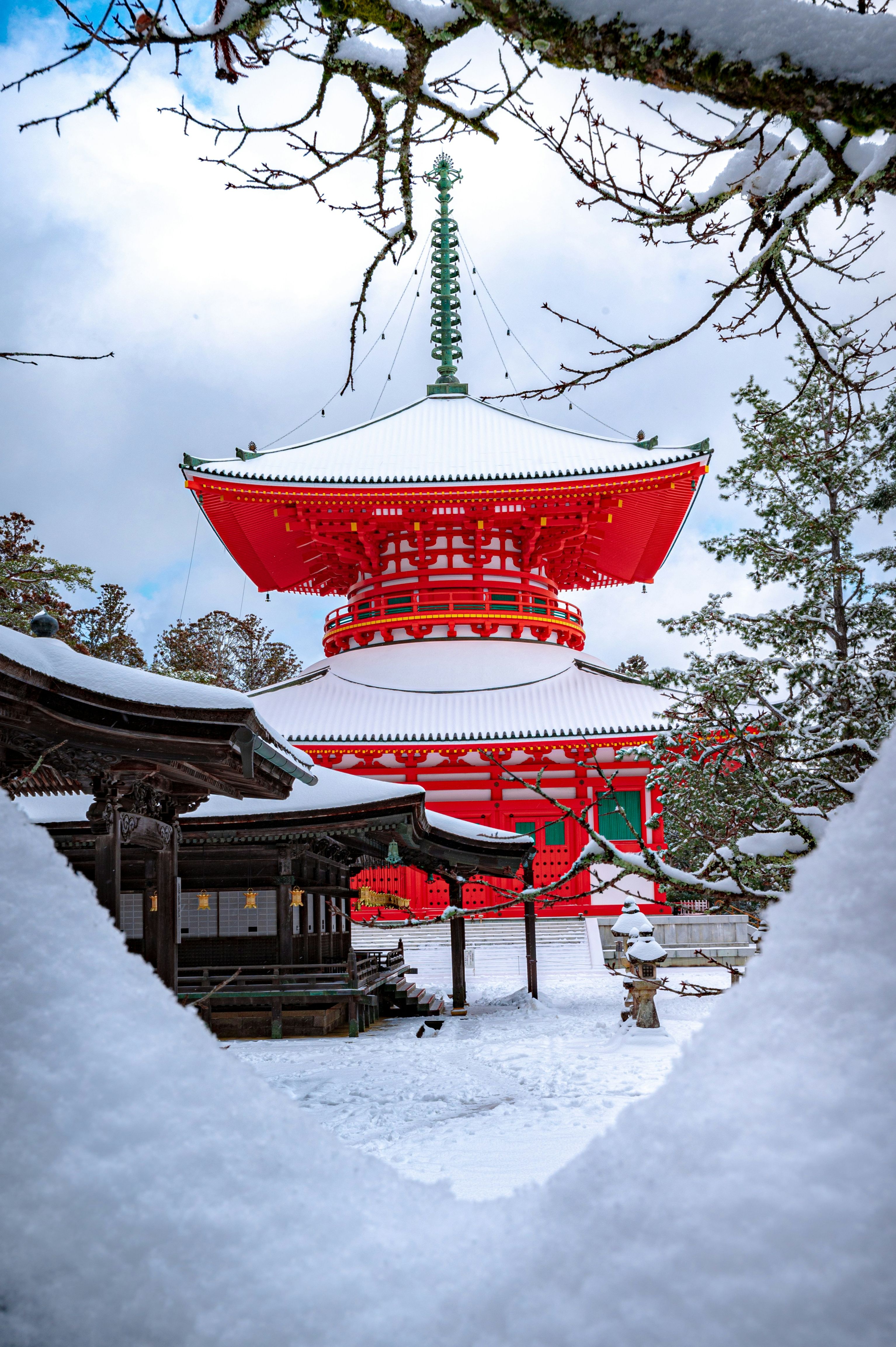 Teaching and Winter Adventures: Where to Teach in Tokyo