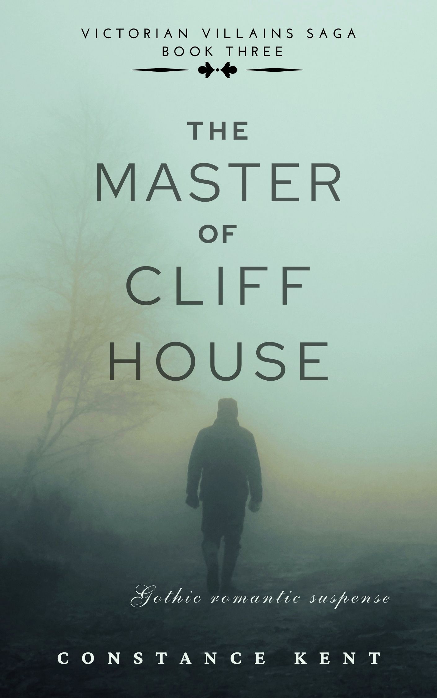 The Master of Cliff House Victorian Villains Saga Book Three