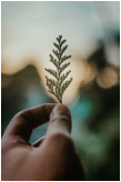 Personal growth coaching dubai