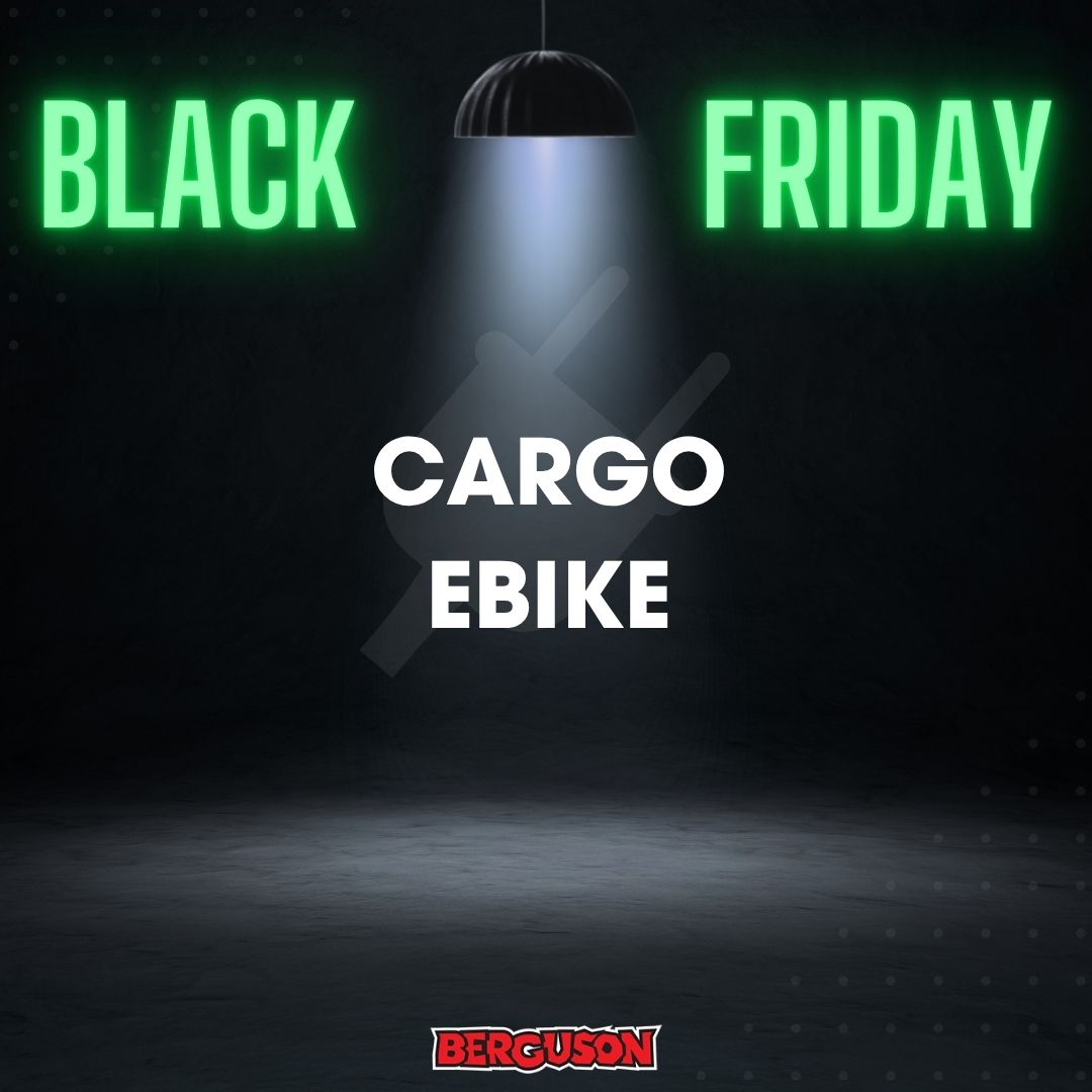 Cargo E-bike