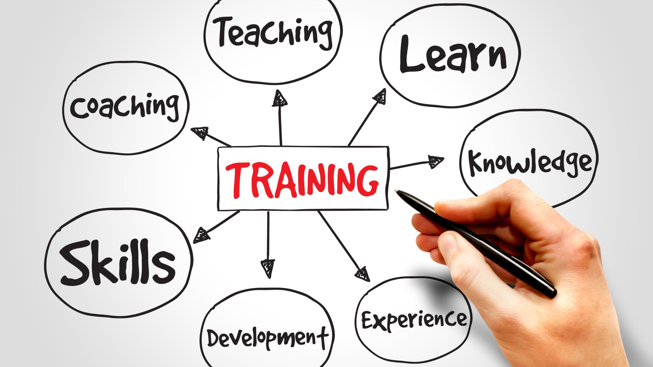 The Importance of Training and Development Specialists for Small Businesses