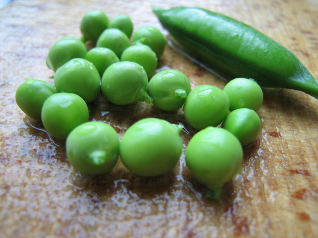 shelling peas