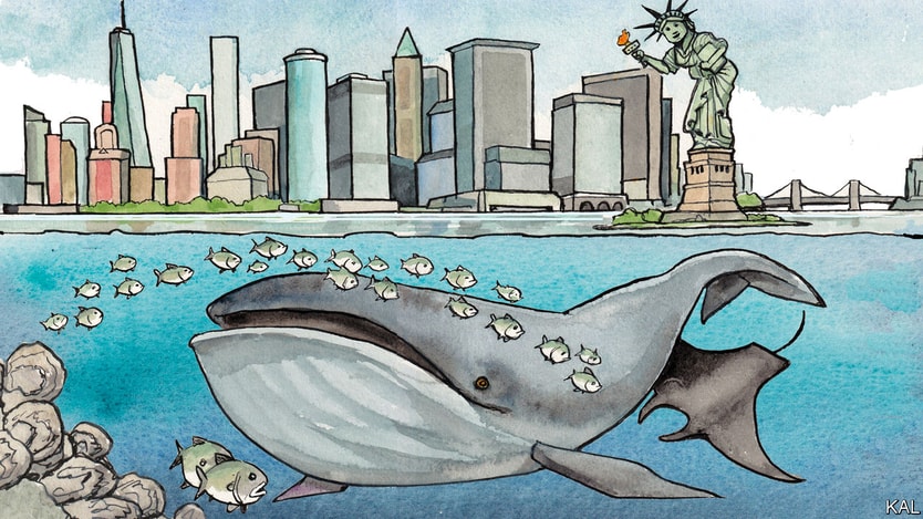 New York’s waters are being reborn - The Economist - Image