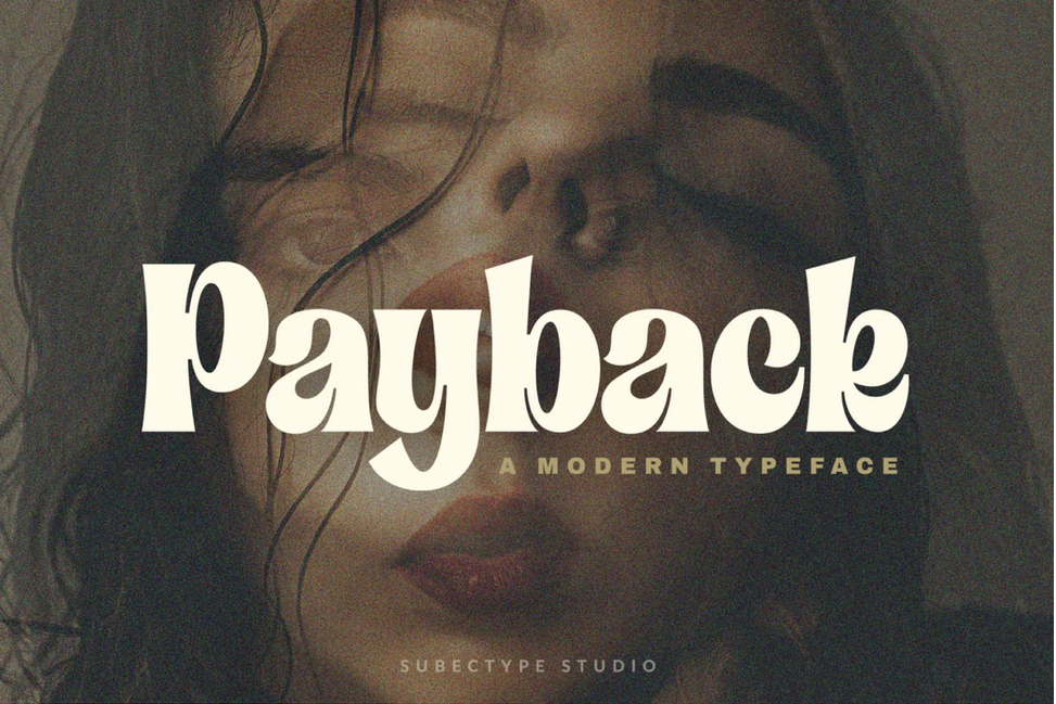 The Unique Serif Font Bundle