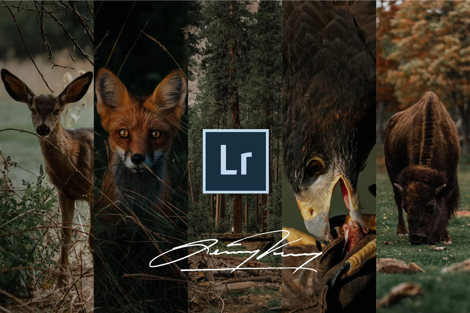 The Decade Collection