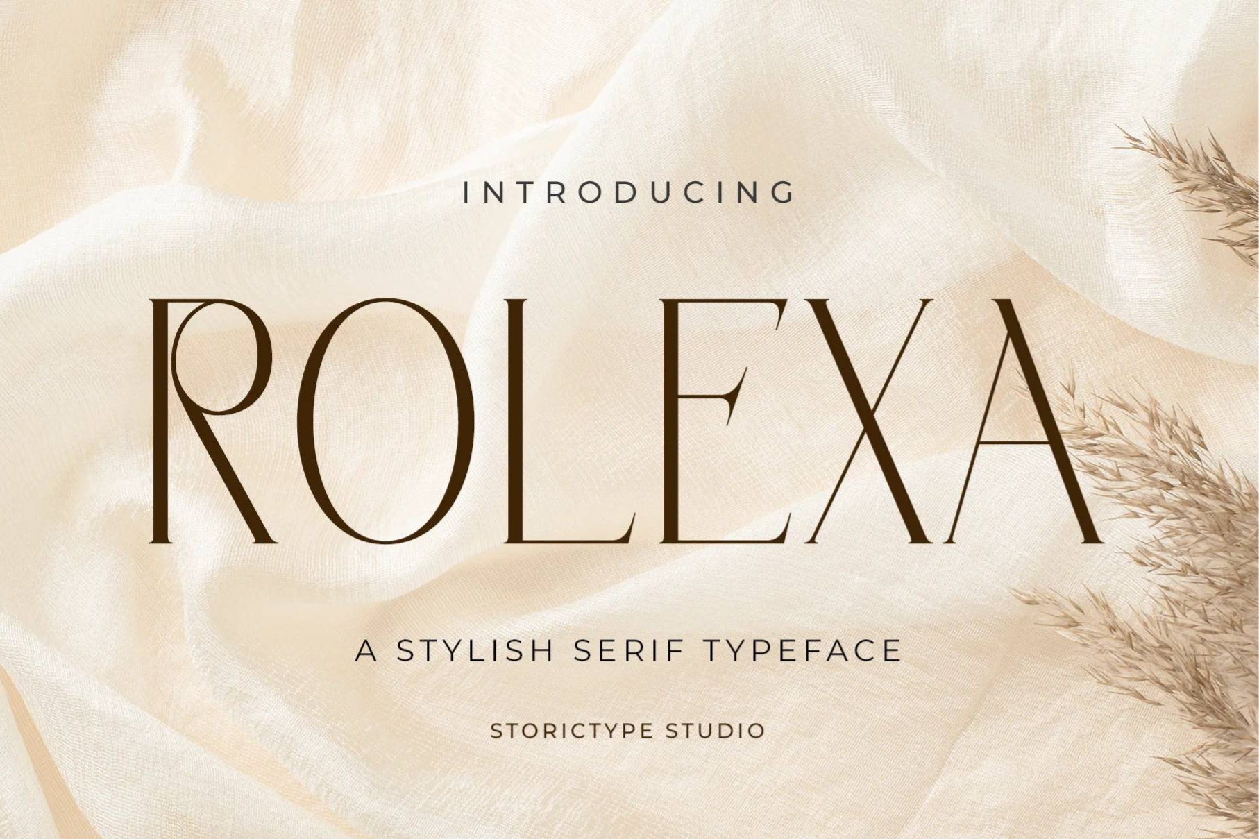 The Unique Serif Font Bundle