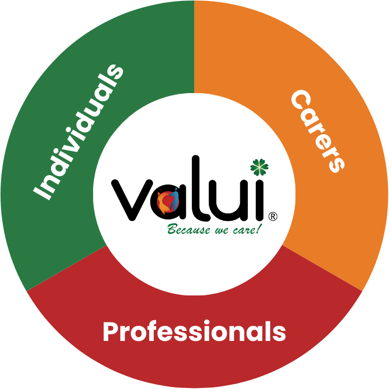 A chart with the Valui logo in the centre and clockwise the three equal part Individuals, Carers, and Professionals.