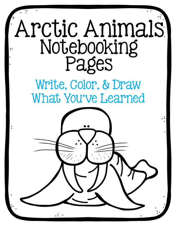 Arctic Animals Notebooking Pages for K-8th grades