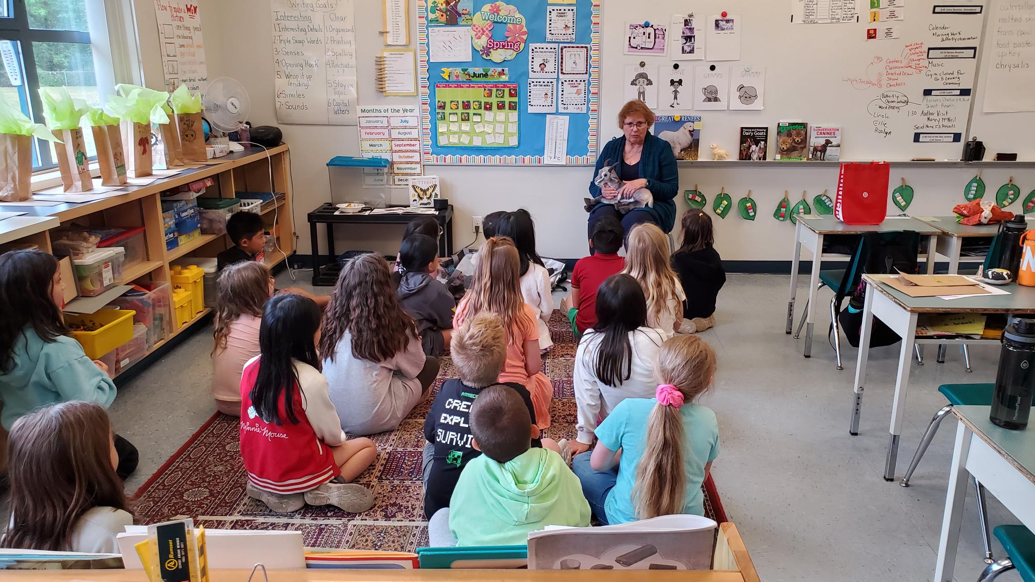 Nancy McNeil's School Visits