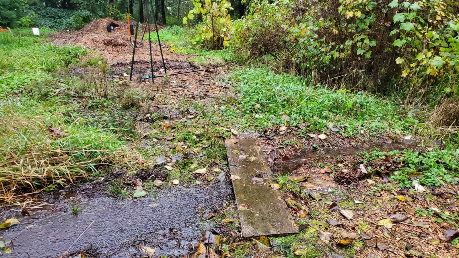 Weather Alert: Atmospheric River Batters Coquitlam, BC, Canada