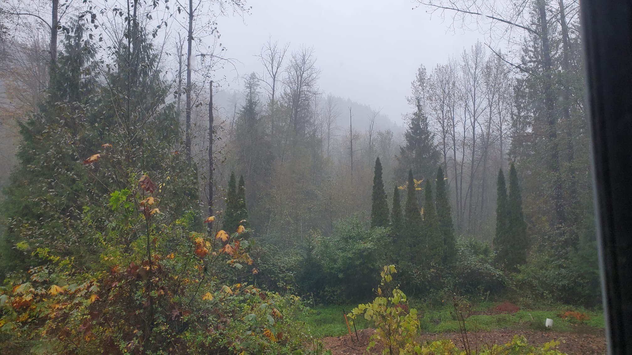 Atmospheric River Batters Coquitlam, BC, Canada