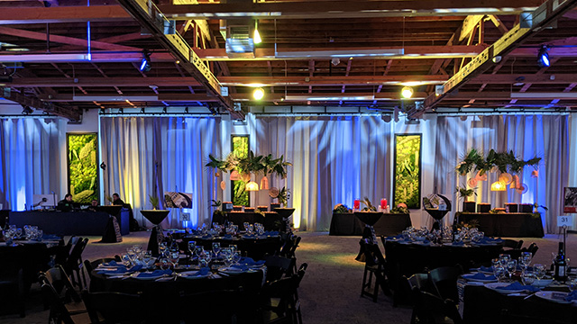 Framed moss art and tall dark gray curtains are illuminated by multiple lighting fixtures in an event venue. Appetizers have been set up on tables toward the back of the space while tables for dinner service are in a darker area waiting for guest to arrive.