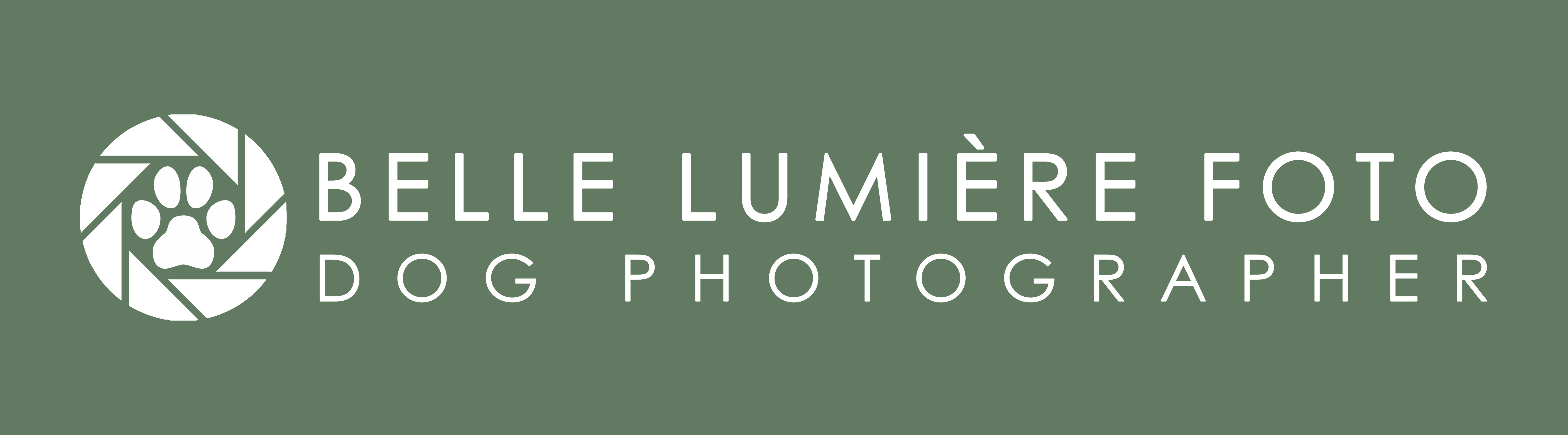 Belle Lumiere Foto logo