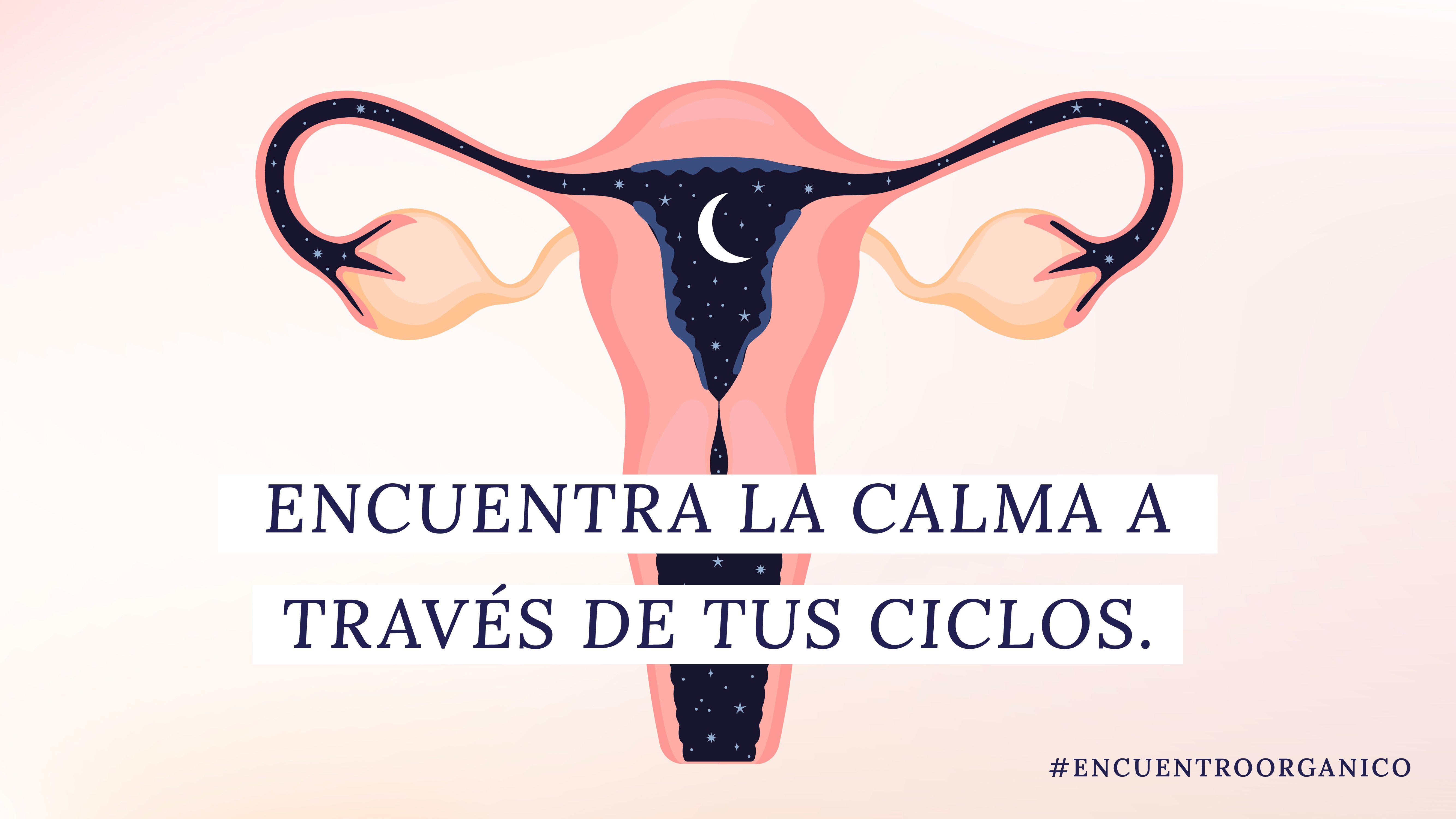 Encuentra la calma a través de tus ciclos