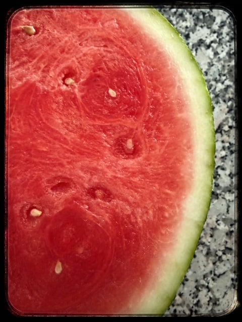 Melon-H2O